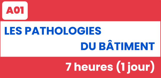 Les-pathologies-du-bâtiment